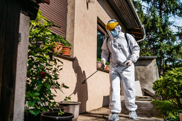 Best Pest Control for Homes  in USA